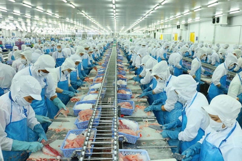 5+ tạp dề thủy sản, thực phẩm được sử dụng phổ biến hiện nay