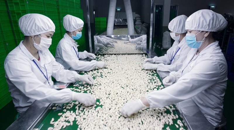 May đồng phục công nhân công ty giá tốt với Handy Uni