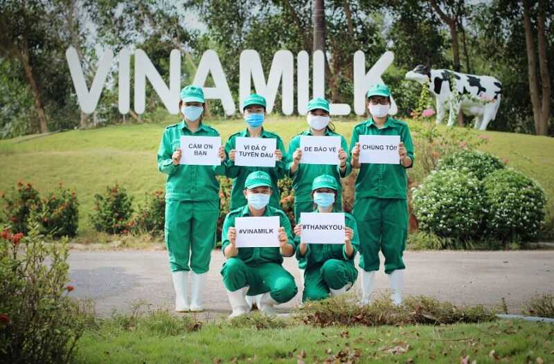 Đồng phục Vinamilk cho công nhân trang trại bò sữa