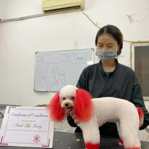 Đồng phục pet shop áo khoác đen giá rẻ, form Smart Fit, vải gió