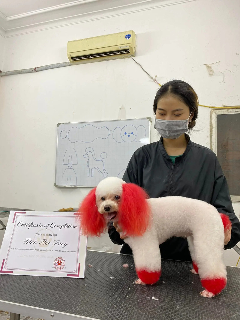 Đồng phục pet shop áo khoác đen giá rẻ, form Smart Fit, vải gió