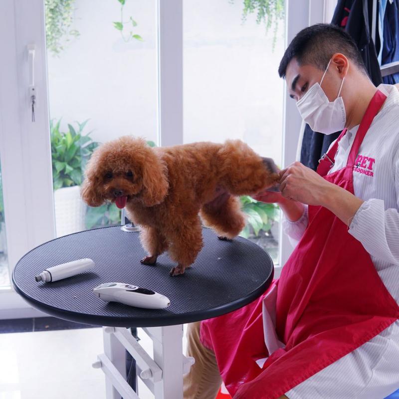 Đồng phục pet shop áo sơ mi dài tay tạp dề đỏ ấn tượng, vải kate, form Smart Fit